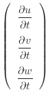 $\displaystyle \left( \begin{array}{c} \dfrac{\partial u}{\partial t} \vspace{.5...
...\partial t} \vspace{.5em}  \dfrac{\partial w}{\partial t} \end{array} \right)$