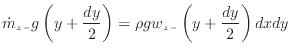 $\displaystyle \dot{m}_{z -}g \left(y + \frac{dy} {2} \right) = \rho g w_{z -}\left( y + \frac{dy} {2} \right) dxdy$