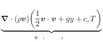 $\displaystyle \underbrace{ \bm{\nabla} \cdot ( \rho \bm{v}) \bigg( \frac{1}{2} \bm{v} \cdot \bm{v} + gy + c_v T \bigg) }_{դι礤ä}$